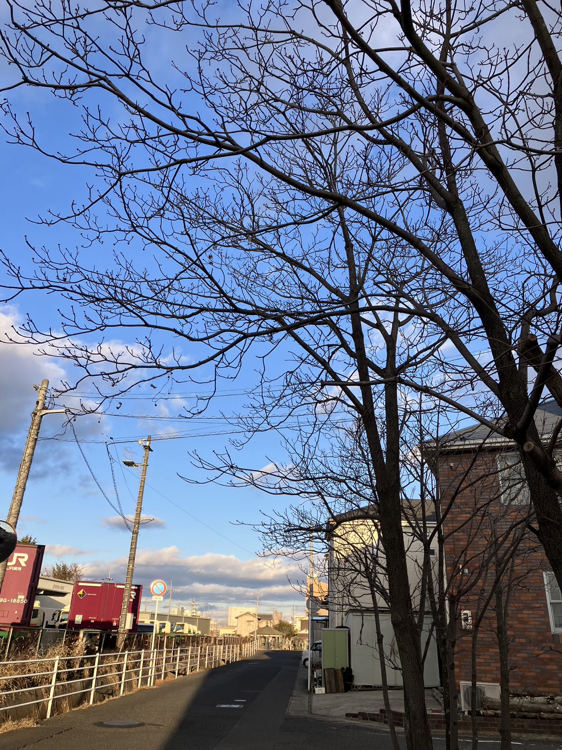 新年度に向けて